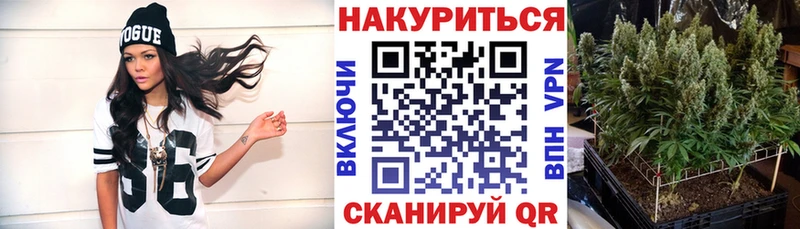 где купить наркоту  Пикалёво  Конопля SATIVA & INDICA 